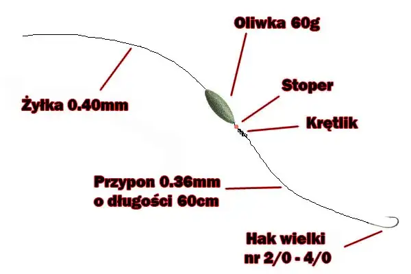 Jaka plecionka na suma z gruntu? Wybierz najlepszą!