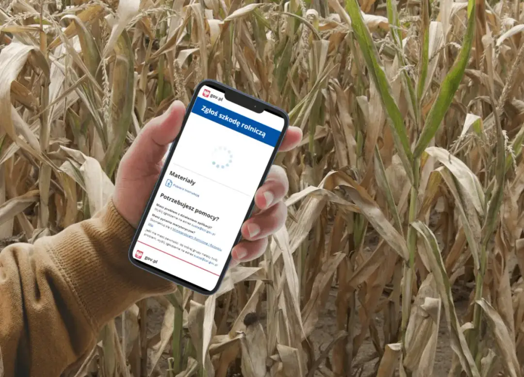 Jak złożyć wniosek suszowy krok po kroku i uniknąć błędów