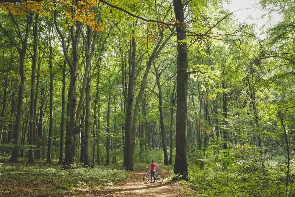 Rezerwat przyrody Segiet: Odkryj jego unikalne piękno i tajemnice