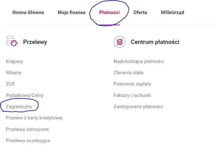 Ile idzie przelew z zagranicy do Millennium? Sprawdź czas realizacji