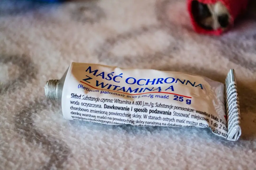 Modzele u psa na łokciach: Czym smarować? Sprawdzone metody