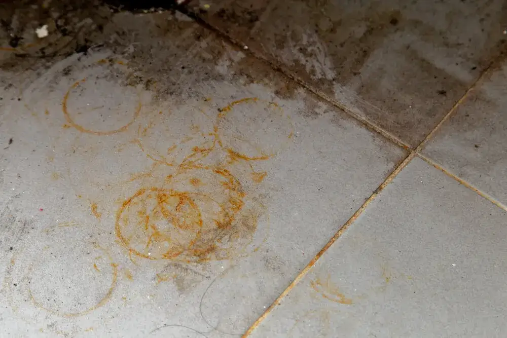 Czyszczenie kamienia dekoracyjnego: Jak bezpiecznie usunąć plamy?