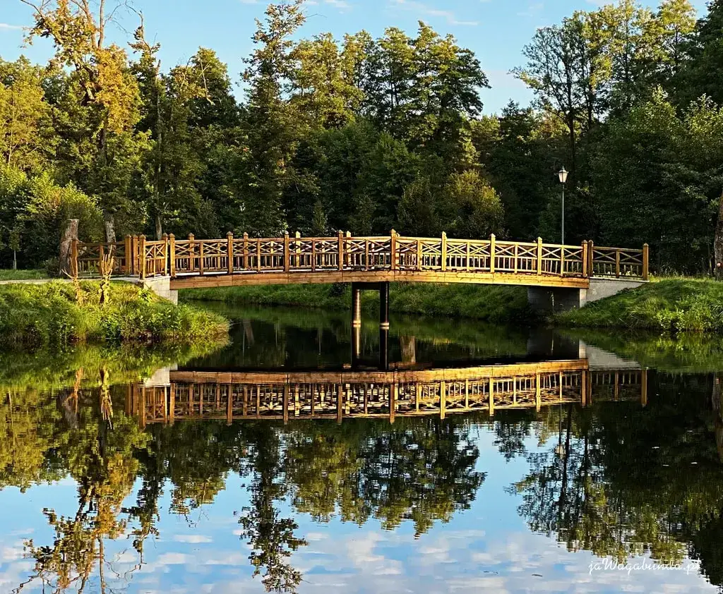 Roztocze: Najpiękniejsze miejsca i atrakcje. Co warto zobaczyć?