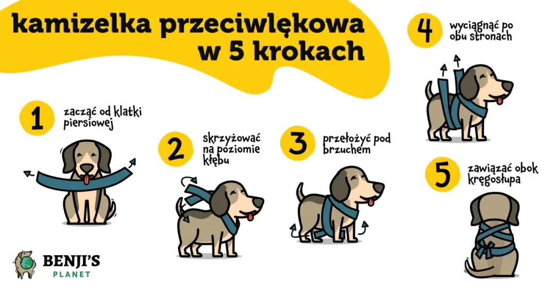 Lęk psa przed burzą i fajerwerkami: Skuteczne metody BEZ LEKÓW