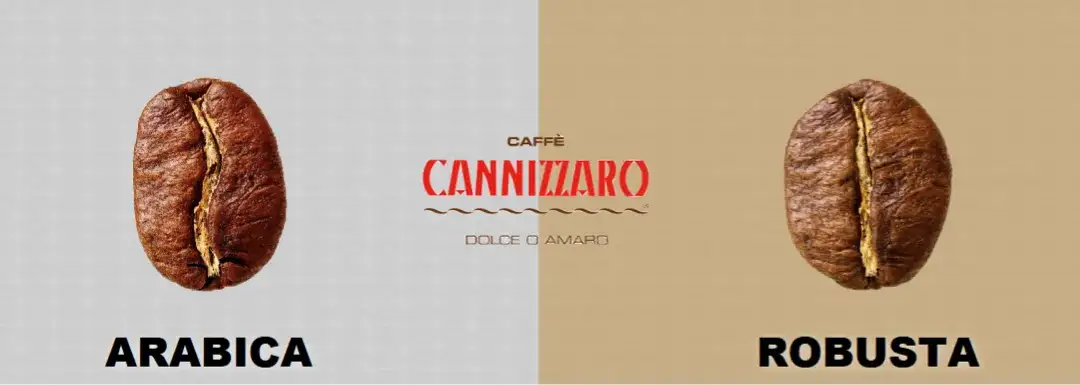 Która kawa lepsza: arabica czy robusta? Poznaj różnice i wybór