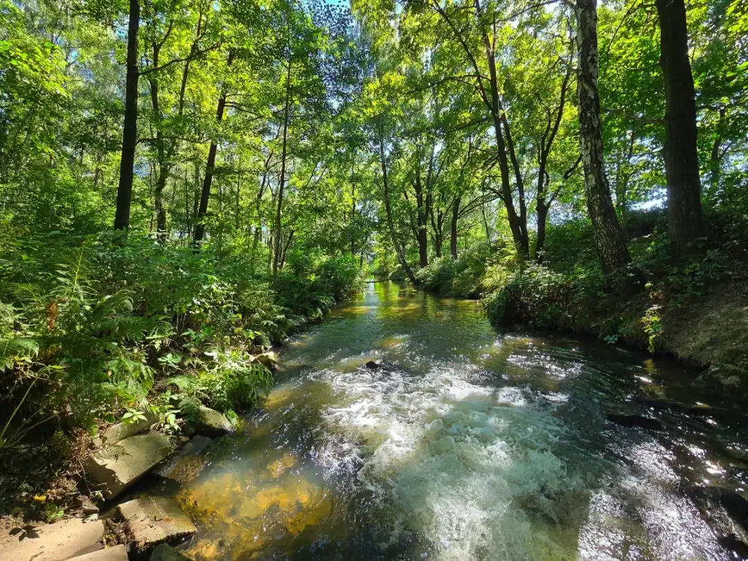 Trasa rowerowa wokół jeziora goczałkowickiego - poznaj jej tajemnice i atrakcje