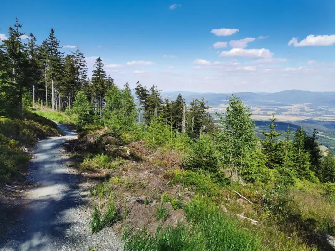 Singletrack Dolny Śląsk: najlepsze trasy rowerowe, trudności i atrakcje przyrodnicze