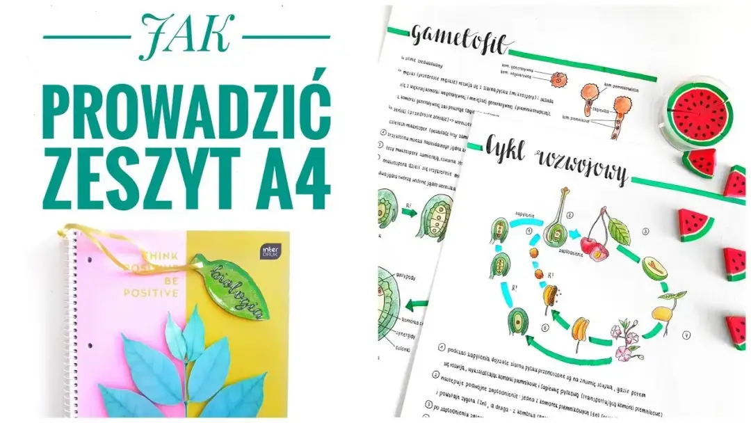 Jak estetycznie prowadzić zeszyt, aby był funkcjonalny i piękny