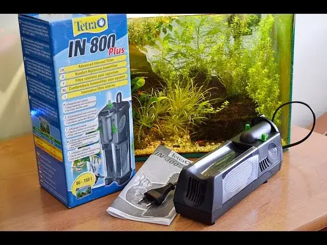 Tetra EX 800 Plus: Czy warto? Recenzja i jak uniknąć przecieków