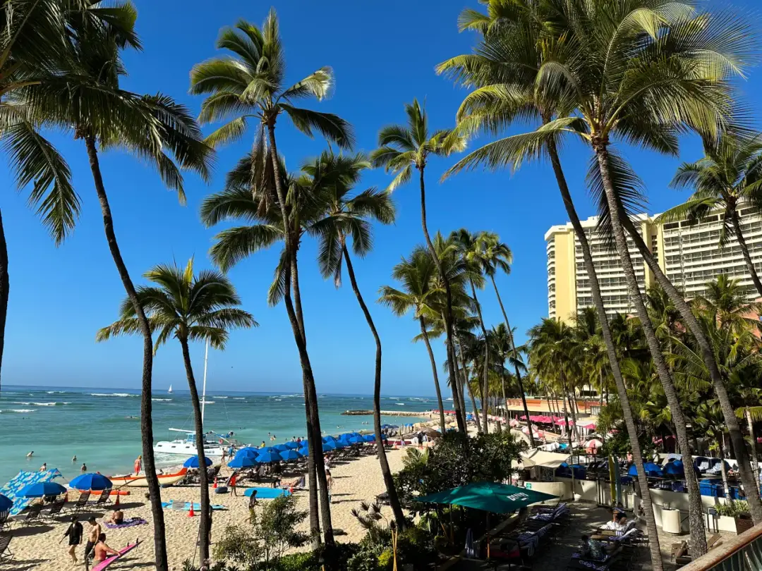 Najlepsze atrakcje w Honolulu, które musisz zobaczyć podczas wizyty