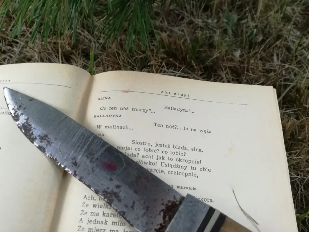 Balladyna: Pełne streszczenie i analiza. Jak żądza władzy niszczy?