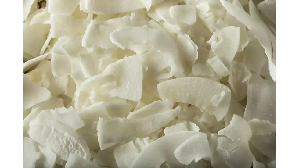 Wiórki kokosowe dla psa - poznaj bezpieczne dawkowanie i korzyści zdrowotne