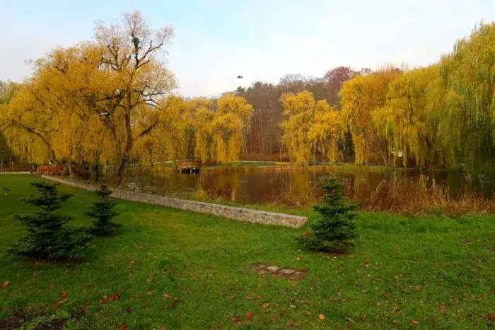 Parki w Gdańsku - top miejsc na spacer i relaks