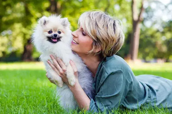 Skuteczne sposoby na kleszcze dla psa - co wybrać, aby chronić pupila