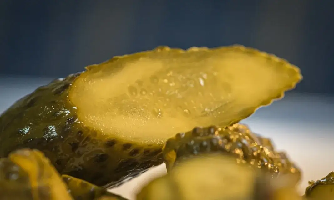 Czy można jeść ogórki kiszone przy dnie moczanowej? Sprawdź skutki.