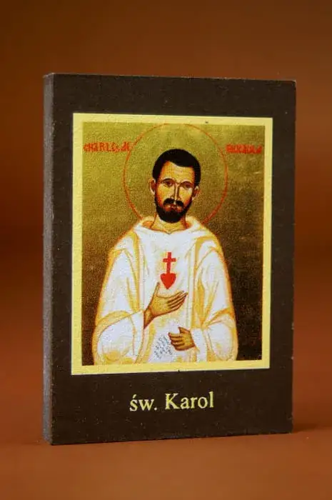 Święty Karol patron czego? Poznaj obszary jego opieki i znaczenie w Kościele