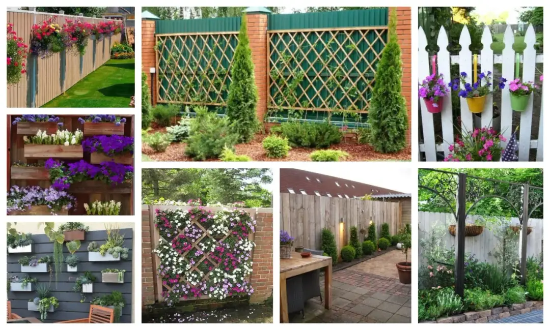 Jak ozdobić ścianę w ogrodzie: 10 kreatywnych pomysłów i porad