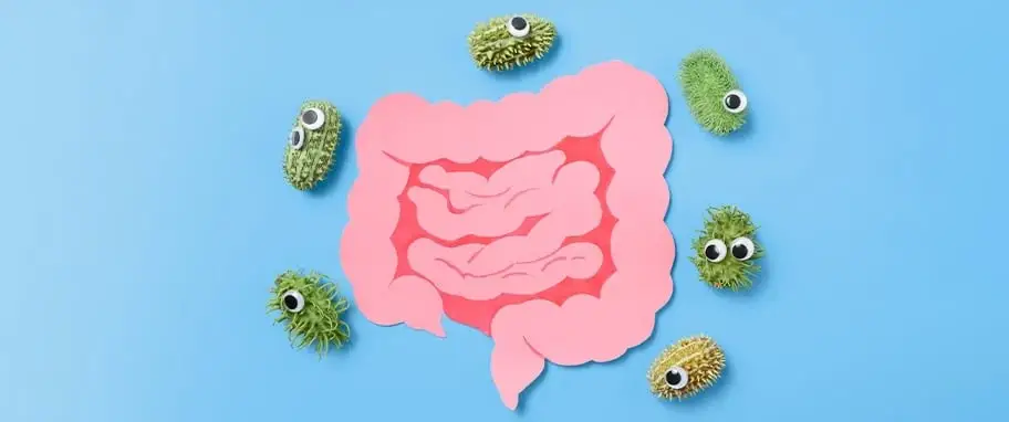 Badanie flory bakteryjnej jelit - cena i refundacja