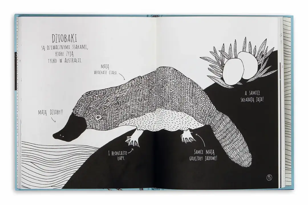 Niesamowite zwierzęta i jak je znaleźć – obsada, fabuła i ciekawostki