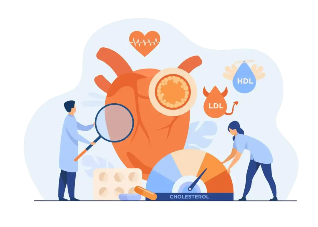 Cholesterol 300 mg/dl: Dlaczego to tak dużo i jakie są zagrożenia zdrowotne