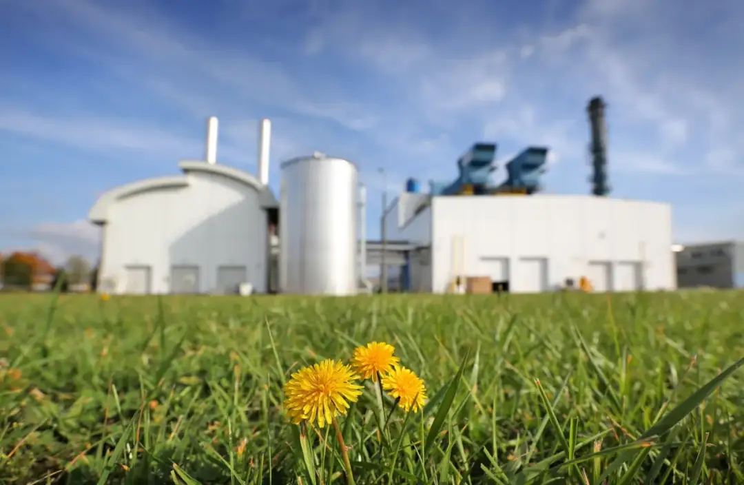 Elektrownia Siedlce: Kluczowe informacje o produkcji energii i planach rozwoju