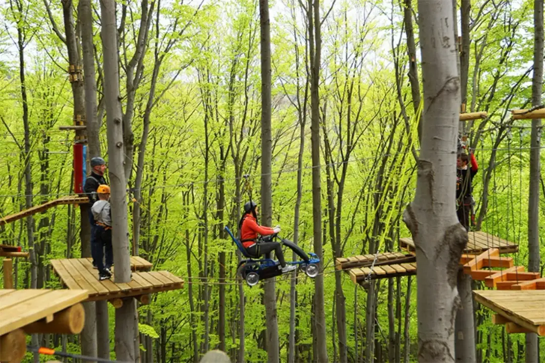 Park linowy Ustroń - emocjonujące trasy i bezpieczeństwo dla każdego