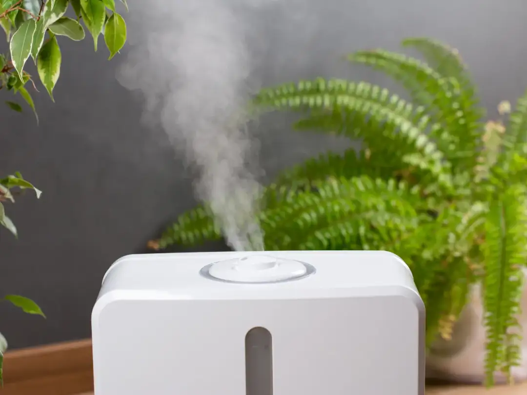 Jak czyścić nawilżacz? Zdrowe powietrze bez pleśni i kamienia