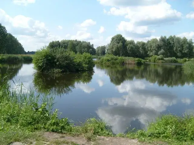 Łowisko Bolimów - idealne miejsce na wędkowanie i relaks w naturze