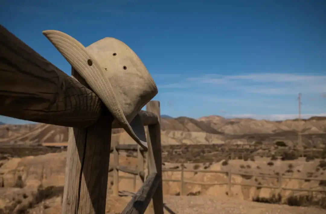 AriZona: Co kryje kultowa puszka? Historia, smaki i gdzie kupić w PL.