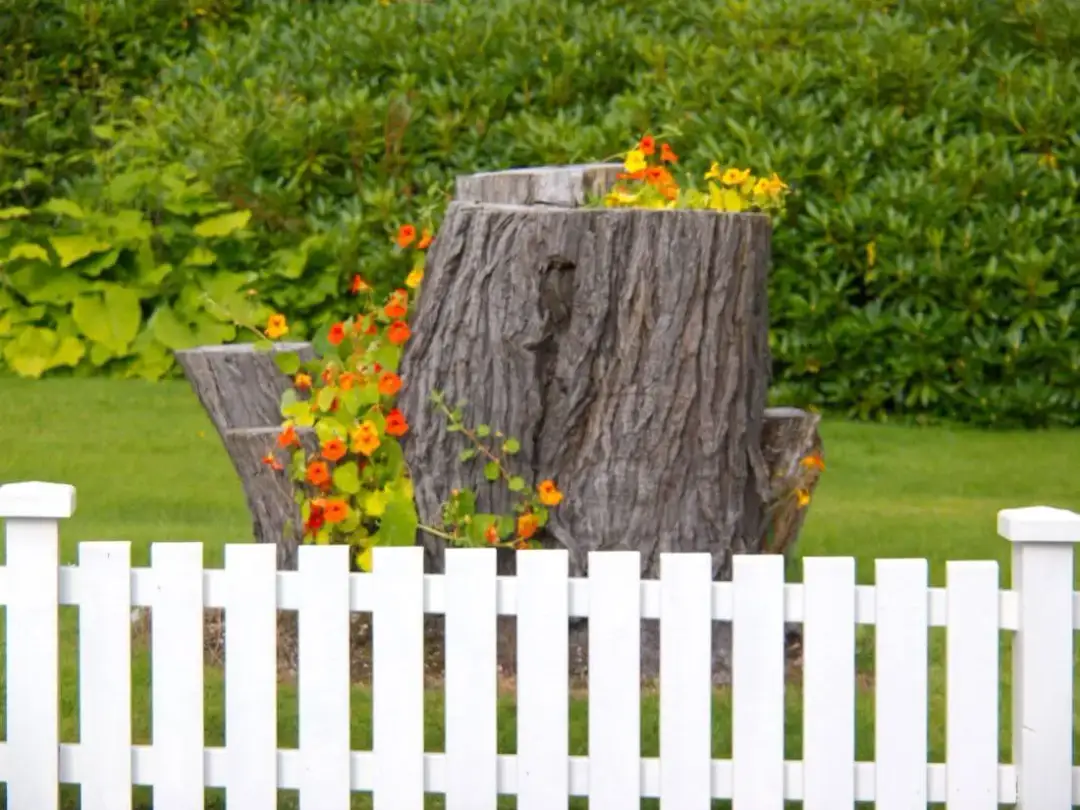 Jak zrobić kwietnik z pnia drzewa: prosty poradnik krok po kroku + porady