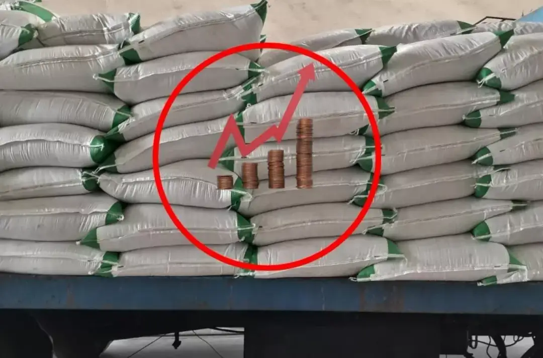 Ile kosztuje nawóz saletrzak? Ceny, które zaskoczą rolników w 2025 roku