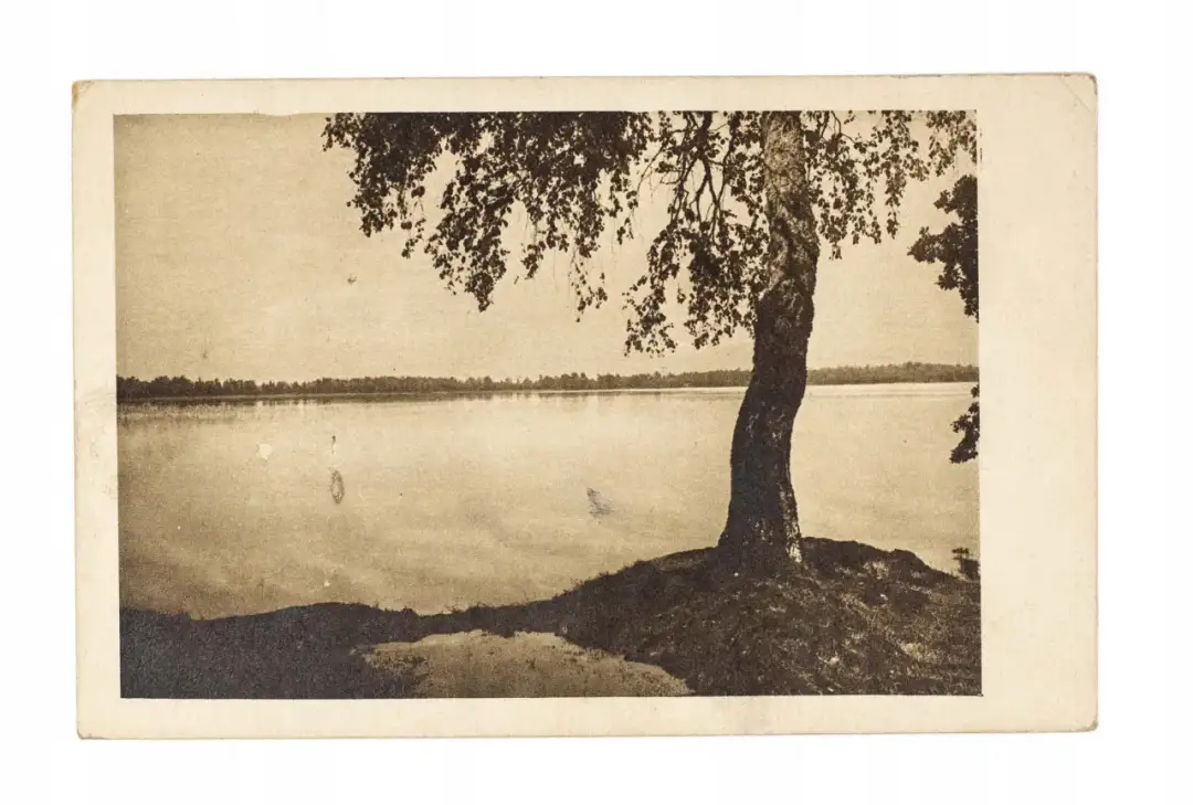 "Jezioro Osobliwości": Recenzja klasyki, która wciąż wzrusza