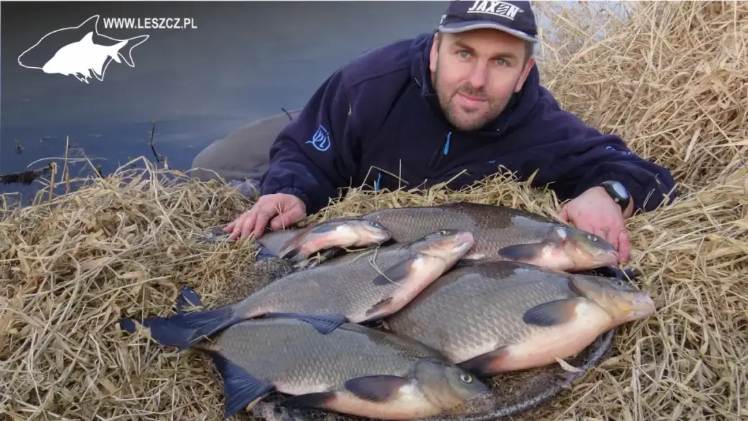 Jaki spławik na płoć? Wybierz idealny i łów skuteczniej!
