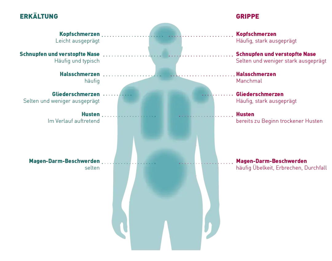 Symptome aktuelle Grippe: So erkennen Sie die gefährlichen Anzeichen