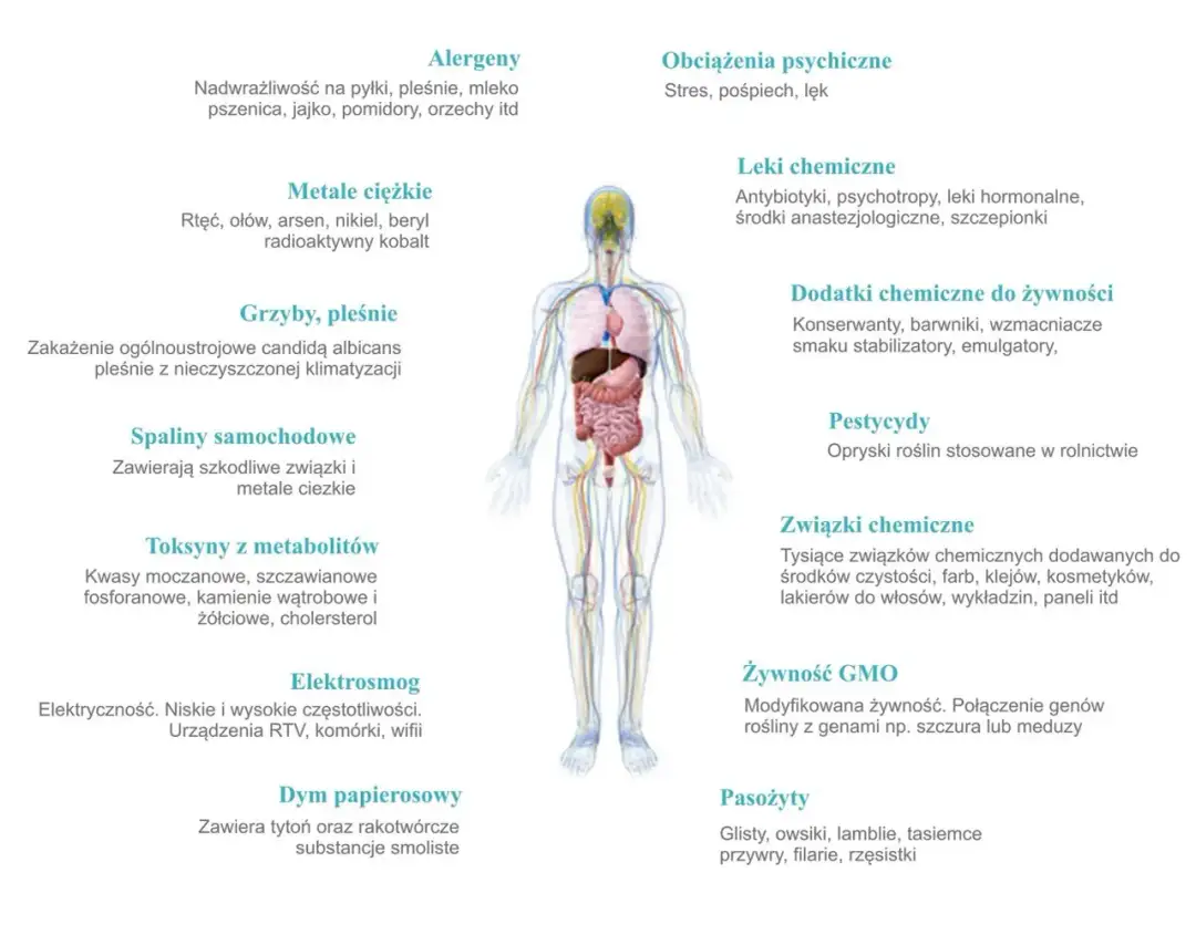 Zanieczyszczony organizm objawy: Jak rozpoznać toksyczne sygnały?