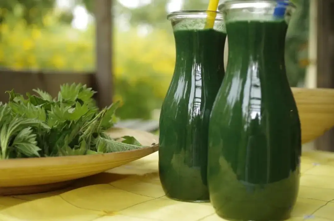 Koktajl z pokrzywą: zdrowe przepisy na pyszne i odżywcze napoje