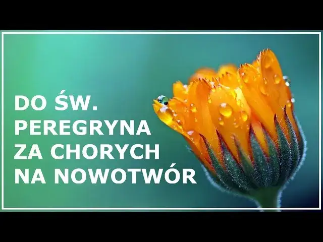 Modlitwa do świętego, który uzdrawia z raka – jak prosić o pomoc?