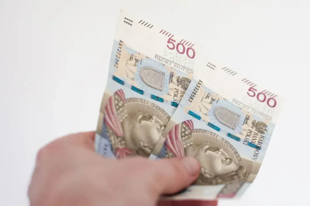 Dłoń trzyma polskie banknoty 500 złotych.