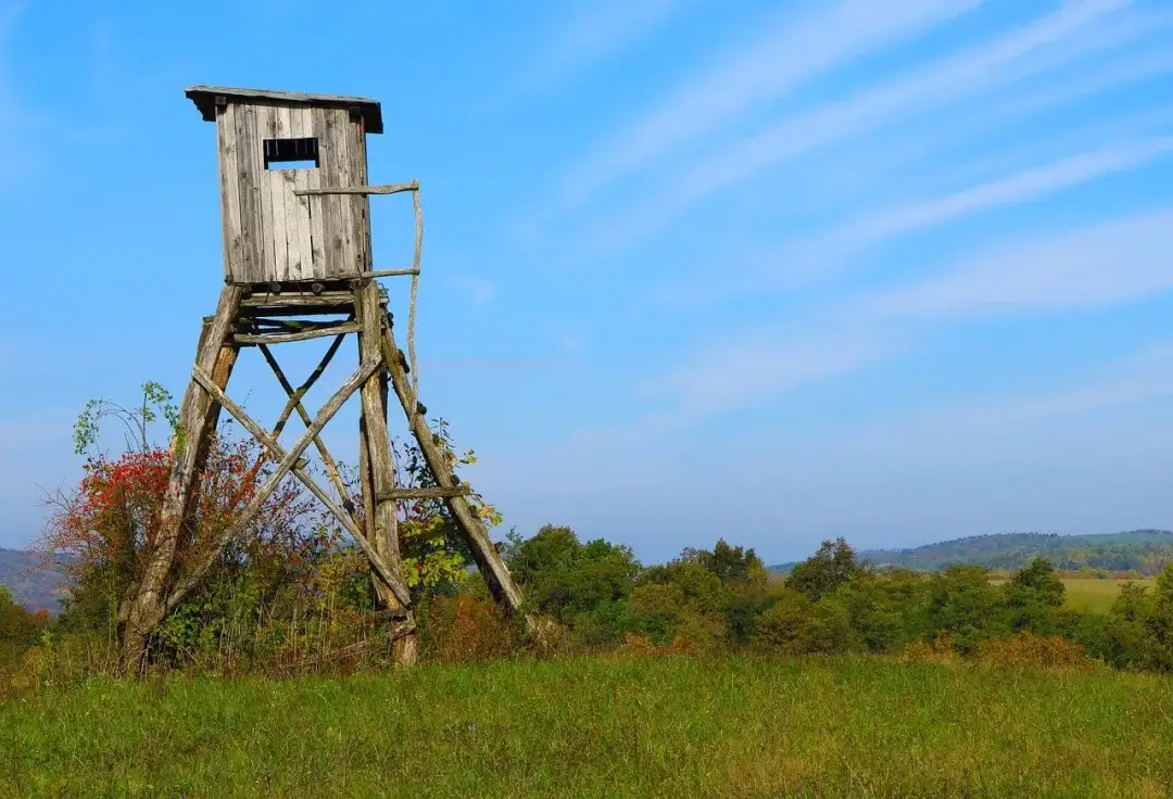 Jak orientować się w terenie i uniknąć zgubienia w lesie