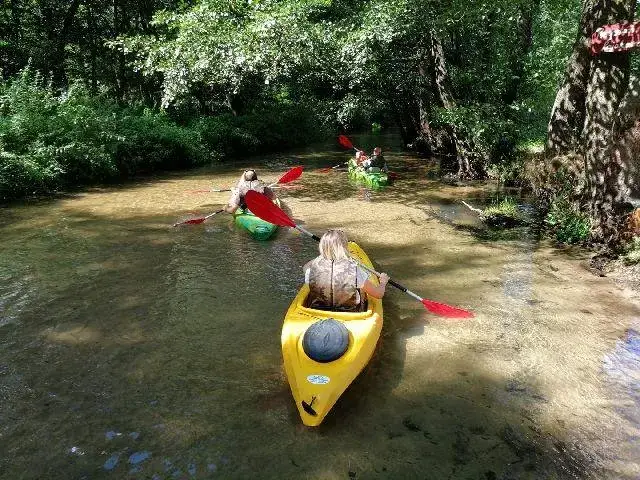 Spływ kajakowy Krasnobród: Trasy, ceny i atrakcje Roztocza