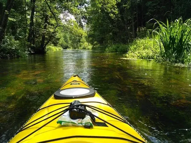 Gdzie na kajaki na Podlasiu? Najlepsze trasy, wypożyczalnie i porady dla początkujących