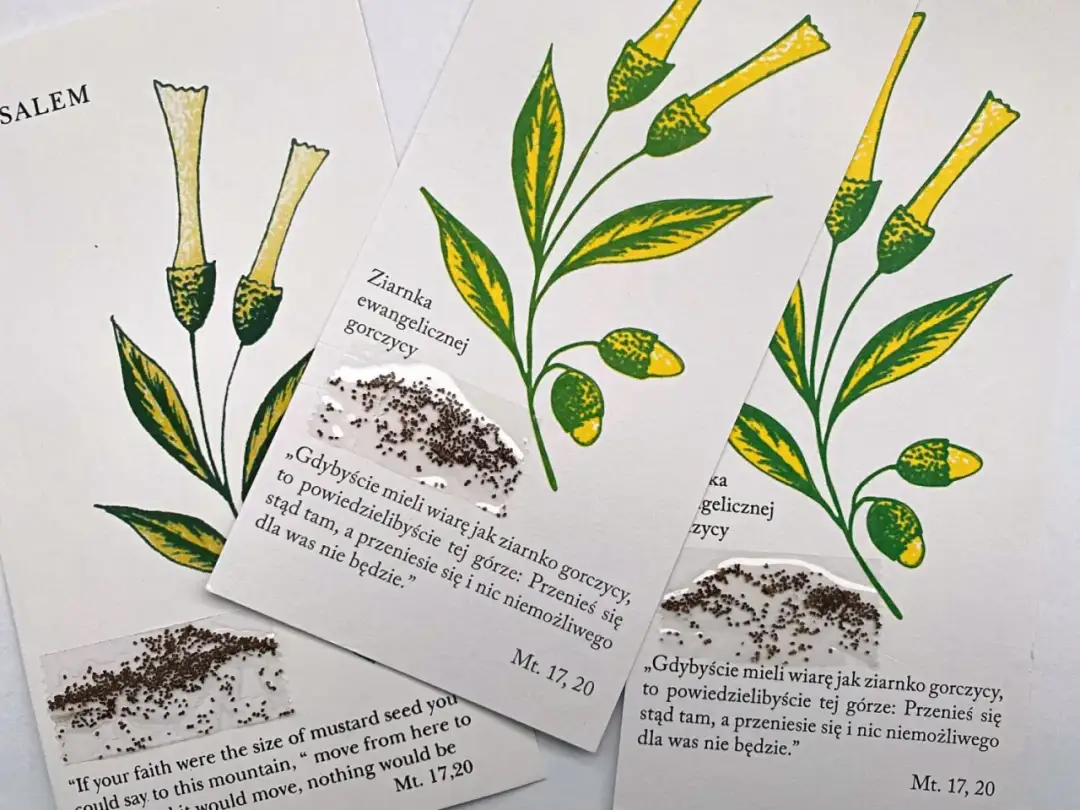 Przypowieść o gorczycy – znaczenie, symbolika i interpretacja w nauczaniu Jezusa