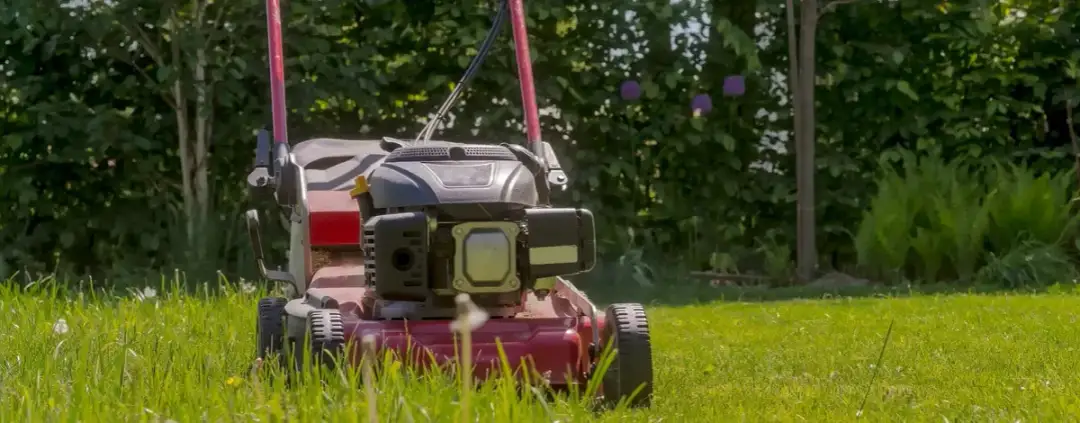 Kosiarka spalinowa z napędem: jaką wybrać? Poradnik eksperta!