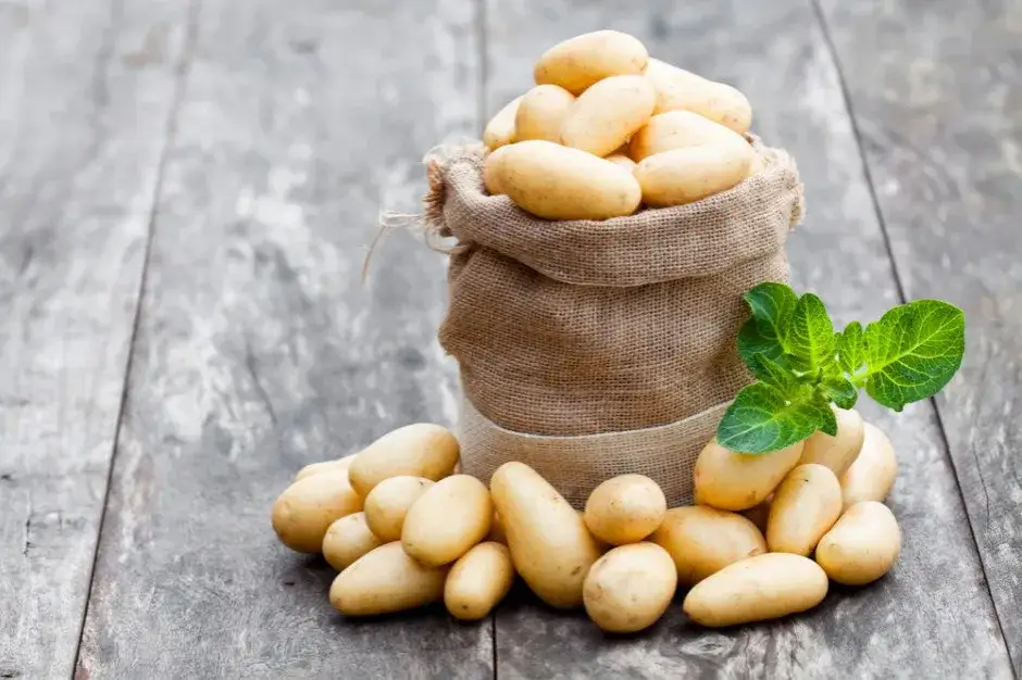 Czy cukrzyk może jeść frytki? Sprawdź, jakie mają skutki dla zdrowia