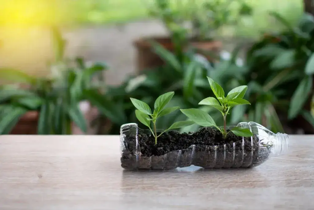 5 Kreatywnych sposobów na wykorzystanie materiałów z recyklingu