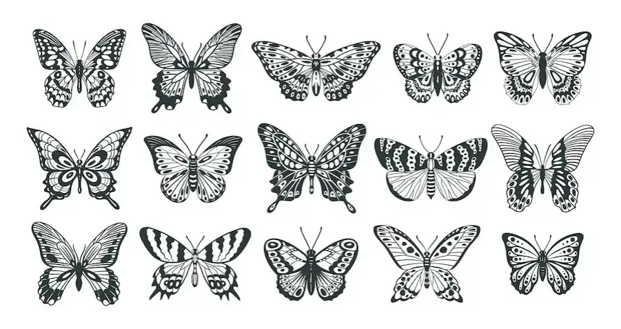 Symbolika motyla: znaczenie w kulturze, duchowości i sztuce