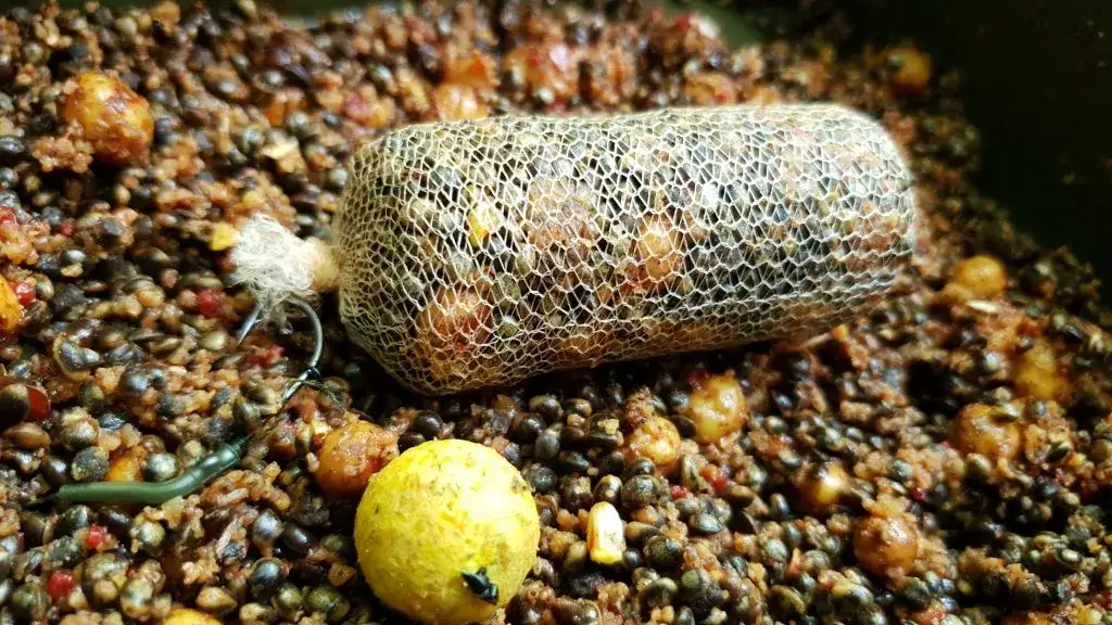 Jak przygotować rzepik na ryby i stworzyć skuteczną zanętę na karpie