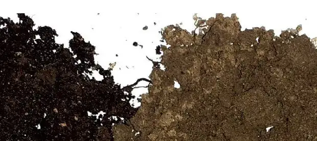 Od czego zależy żyzność gleby? Kluczowe czynniki wpływające na nią