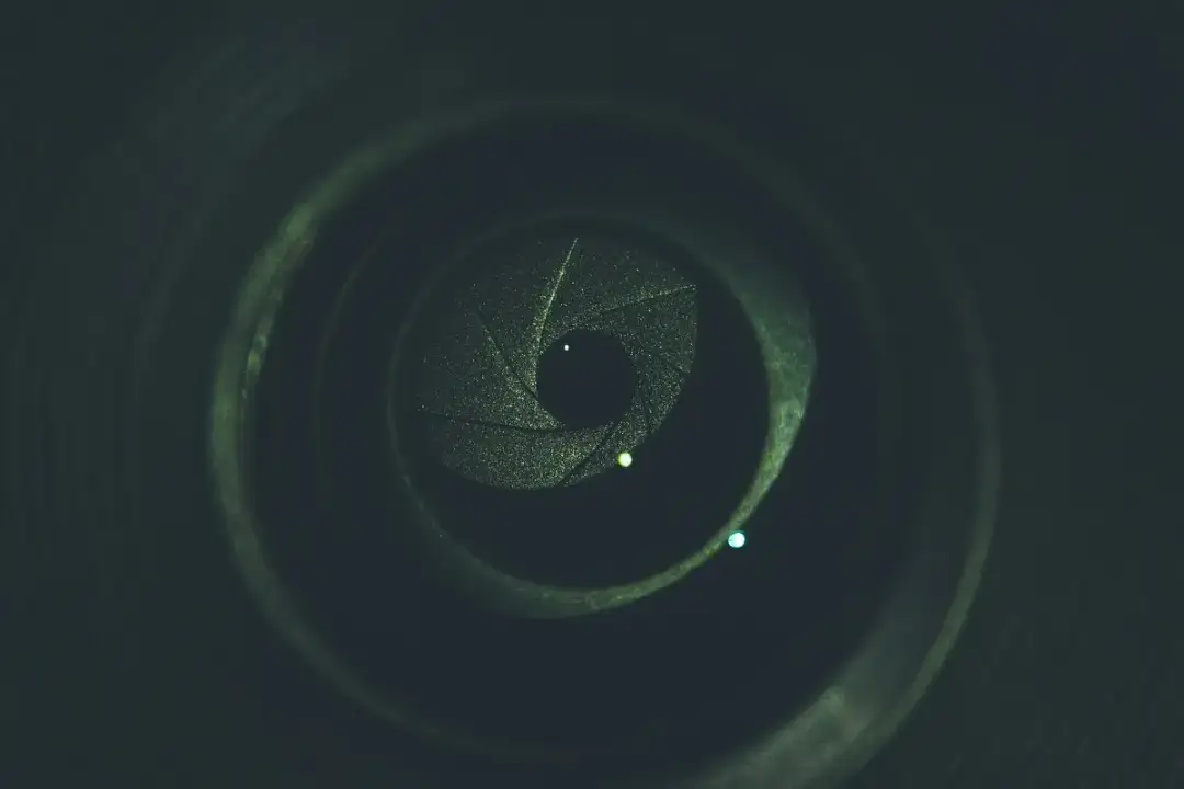 Jaki obiektyw do sesji w plenerze wybrać, by uniknąć błędów i złapać idealne kadry