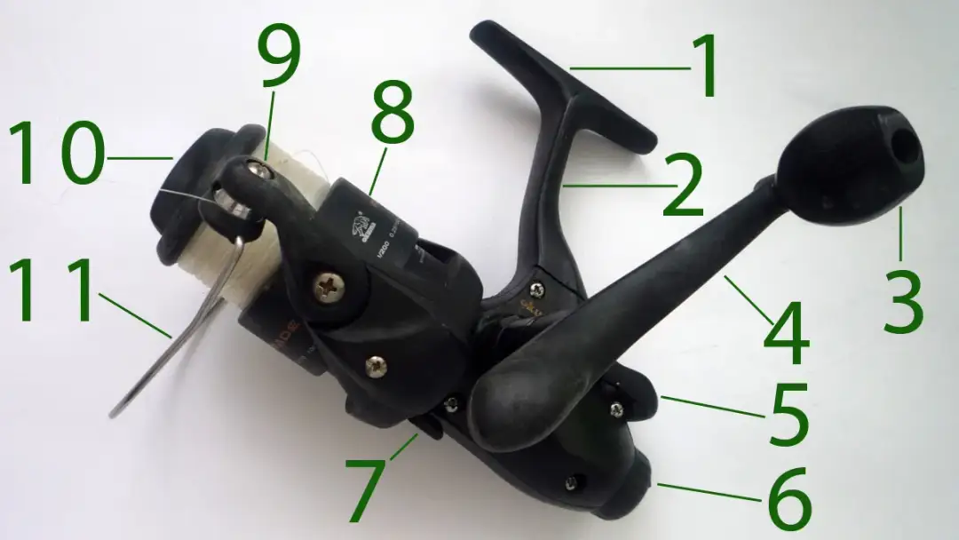 So funktioniert eine Angelrolle: Alles über ihre Komponenten und Nutzung